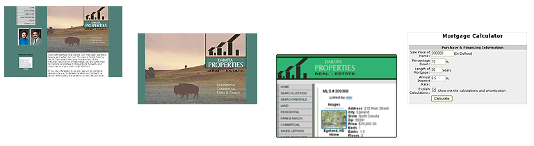 Random snapshots of sites designed by Creative Splendor Web Design & Development